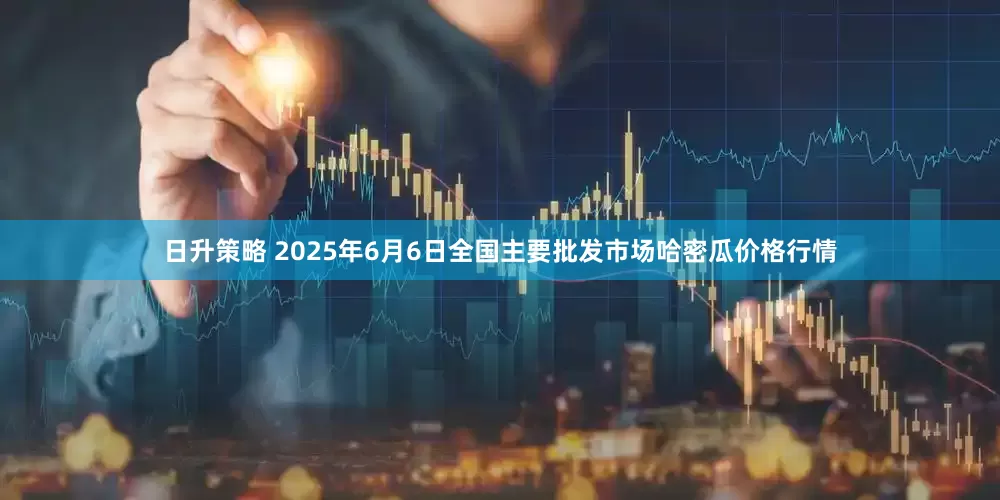 日升策略 2025年6月6日全国主要批发市场哈密瓜价格行情