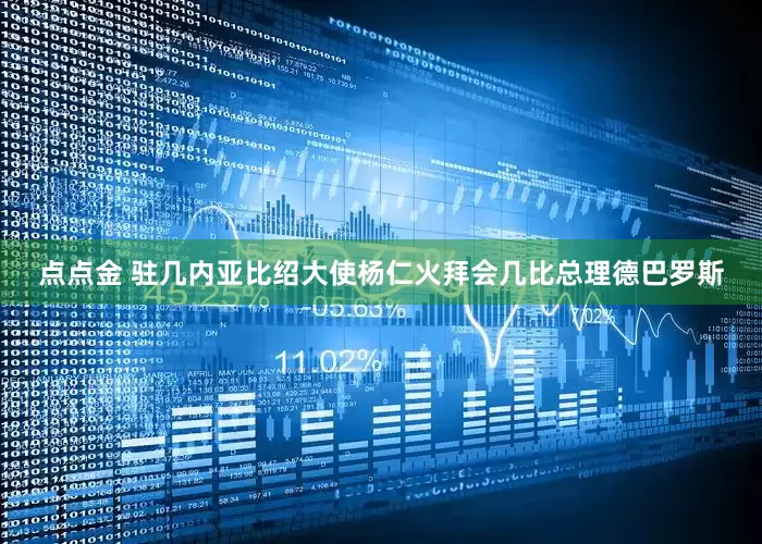 点点金 驻几内亚比绍大使杨仁火拜会几比总理德巴罗斯